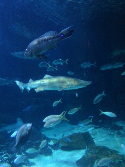 20150720_115956