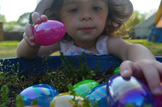 DSC_0470-(2)