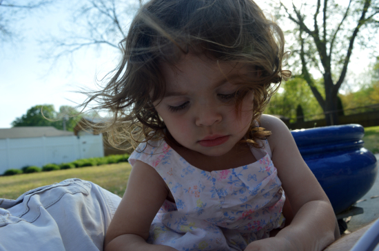 DSC_0498-(2)