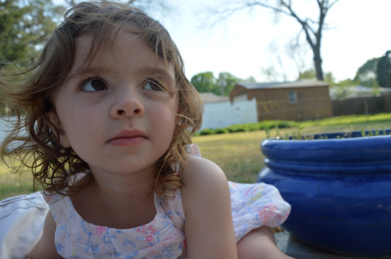 DSC_0500-(2)