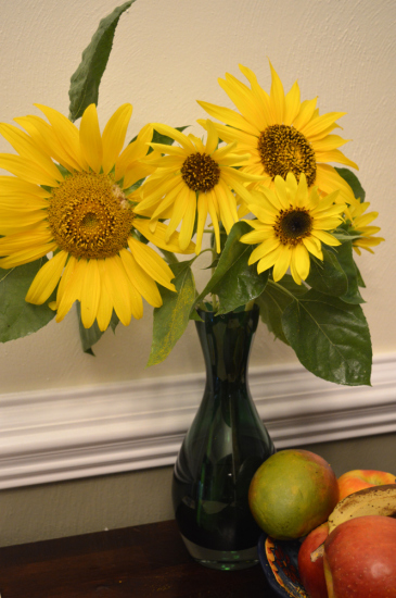 the-flowers-that-put-daddy-out-of-commission