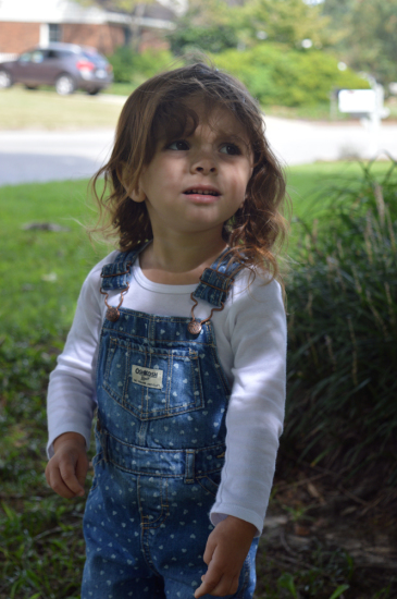DSC_0056
