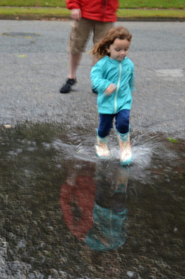 DSC_0247