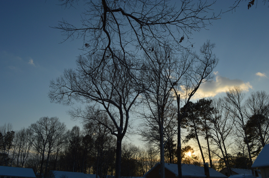 DSC_0063