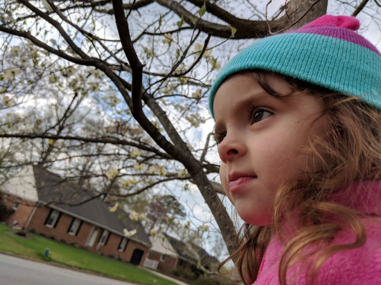 MVIMG_20180411_165619