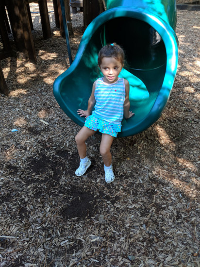 MVIMG_20180903_102726
