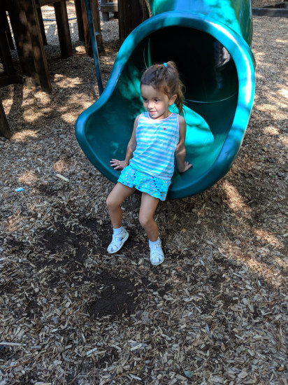MVIMG_20180903_102726_1