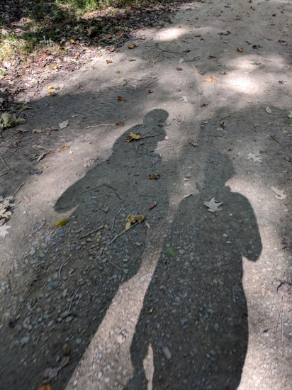 IMG_20181021_110008_1