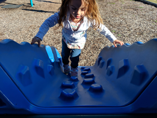 IMG_20181103_151105_1