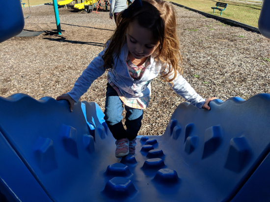 IMG_20181103_151106