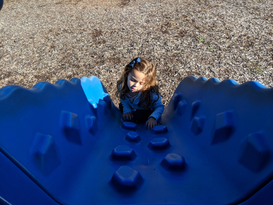 IMG_20181103_151215