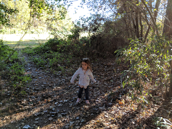 IMG_20181103_153007