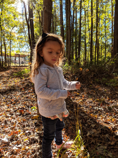 IMG_20181103_153107