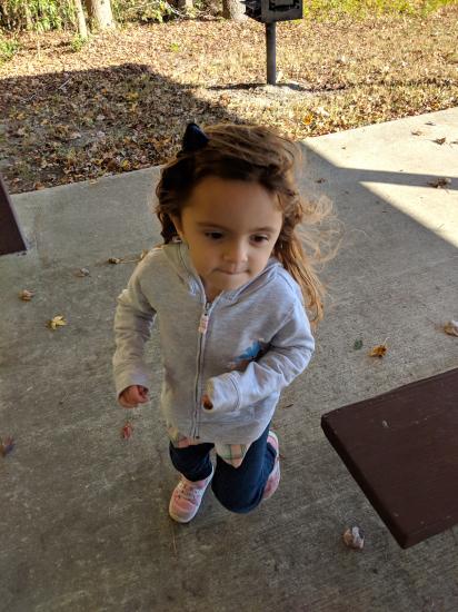 IMG_20181103_153305